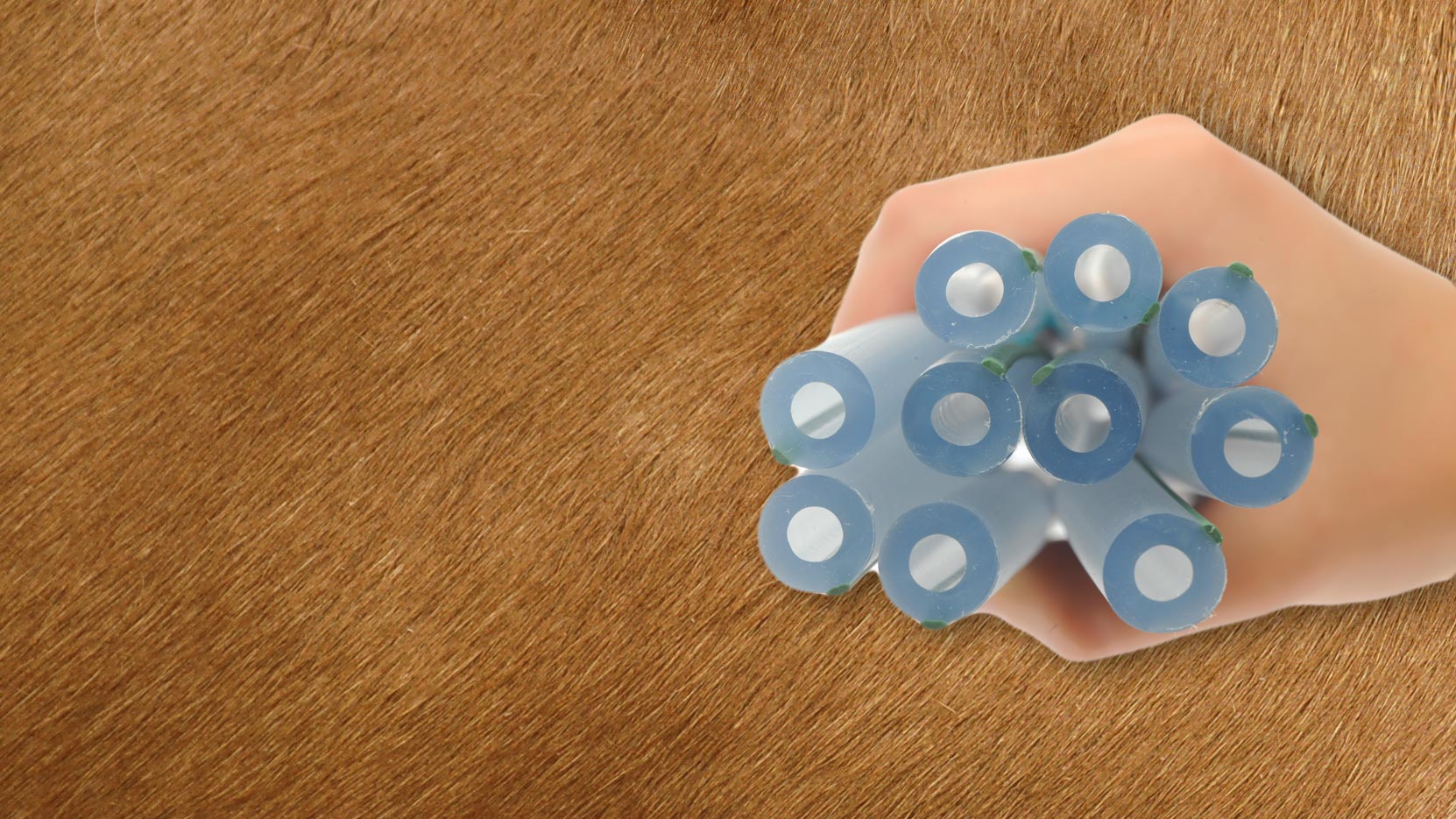 Hand holding light blue silicone hair curlers on brown background.