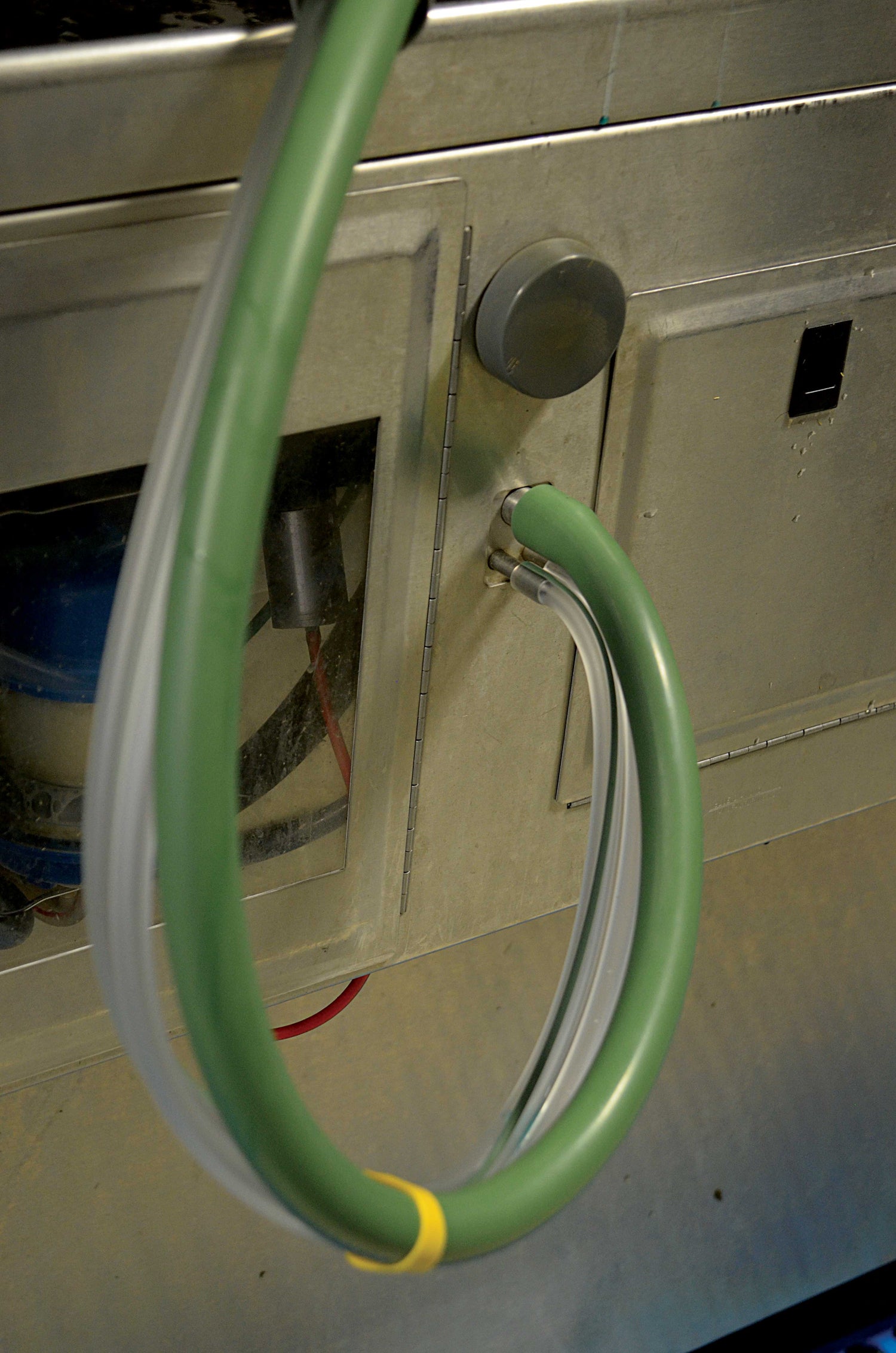 Green milk hose and milking liners in a dairy parlor used for milking cows with a focus on teat health and dairy farming efficiency.